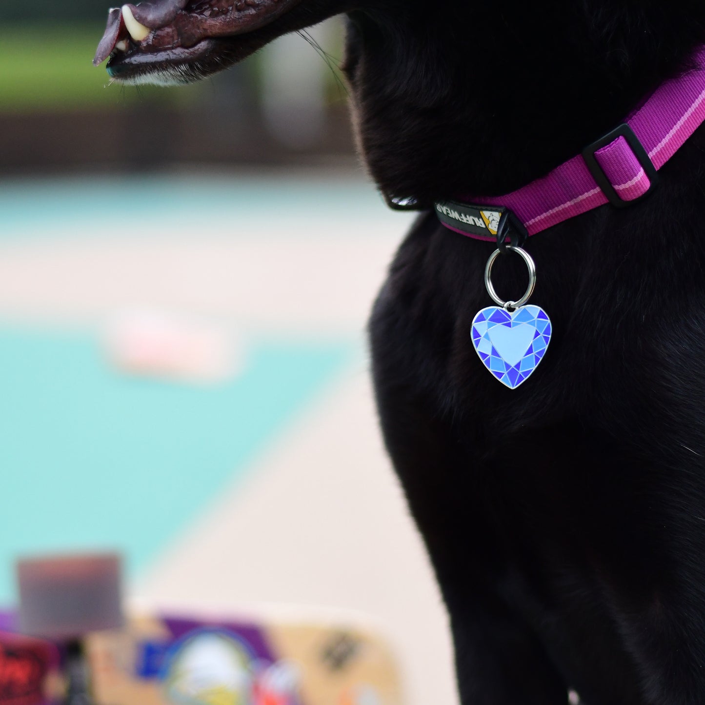 Bark of the Ocean