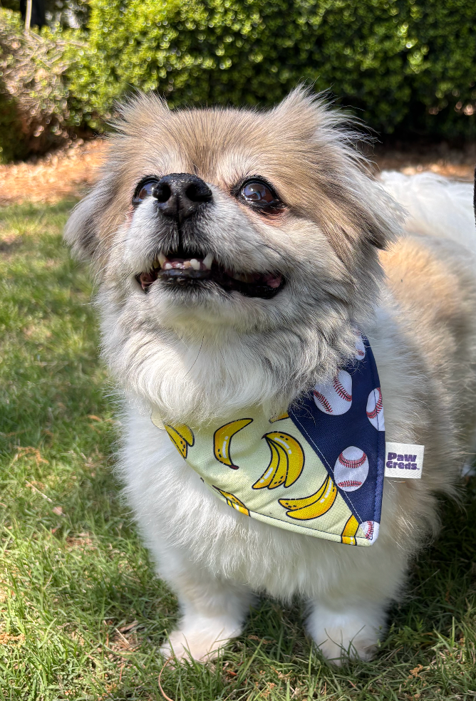Bananas For Baseball