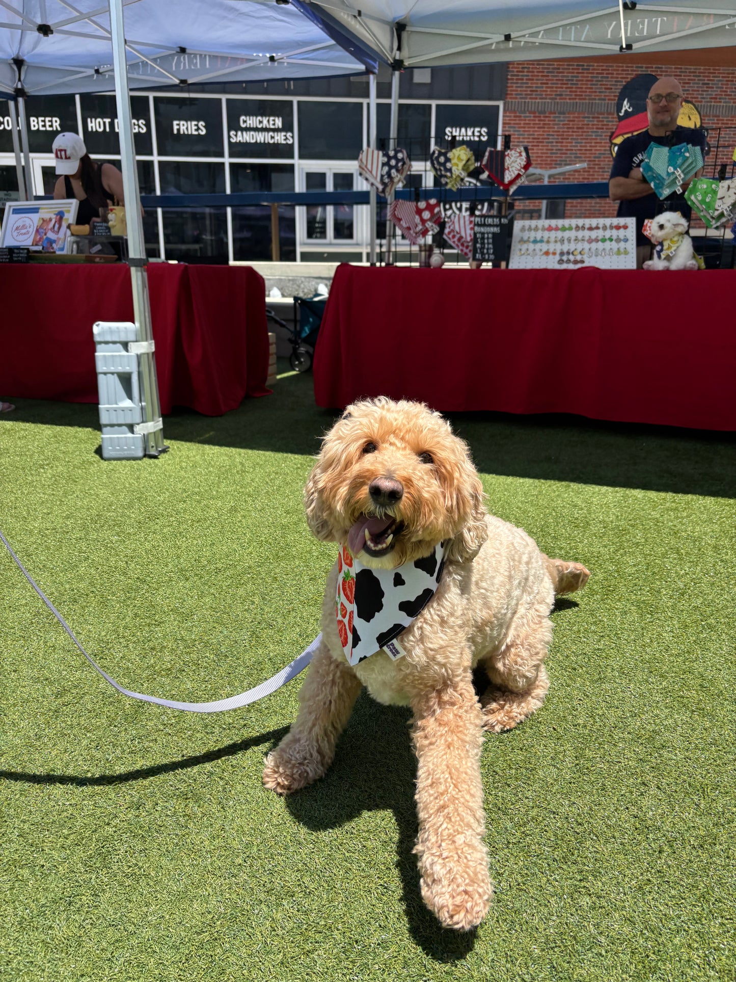 Strawberry Milkshake